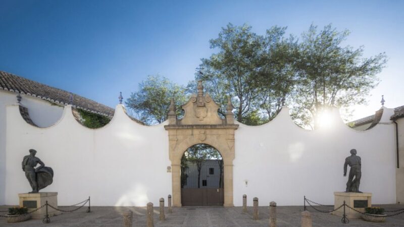 From Costa del Sol: Ronda Village Tour w/ Maestranza Ticket - Key Points