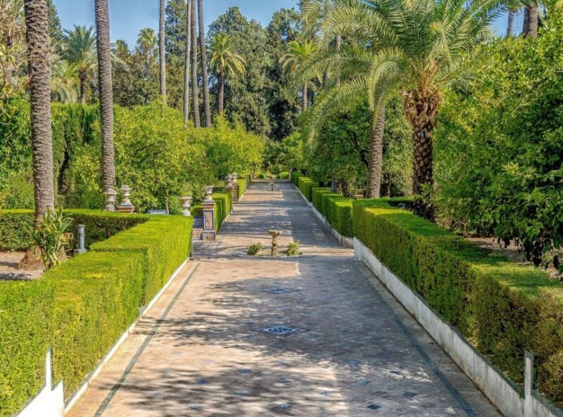 From Costa del Sol: Seville Day Trip - Who Is This Tour Best For?