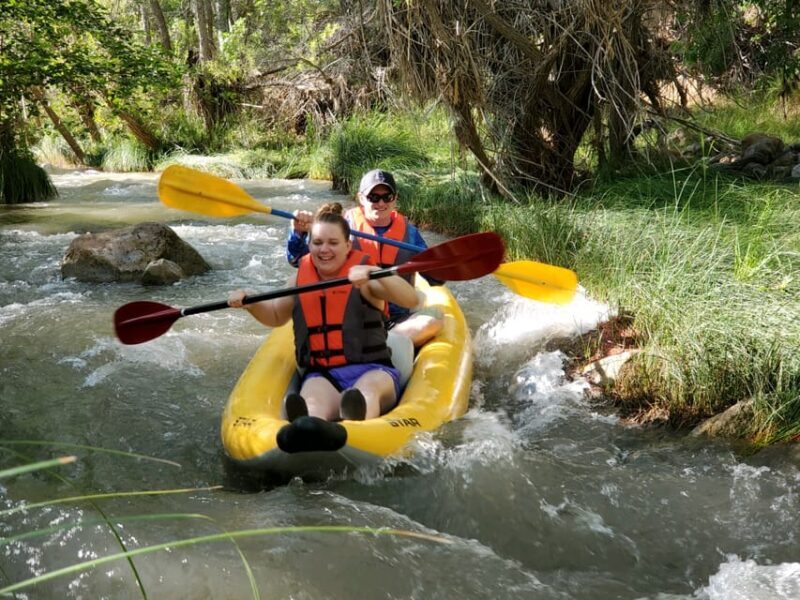 From Cottonwood: Guided Kayaking Tour on the Verde River - What the Verde River Kayaking Tour Offers