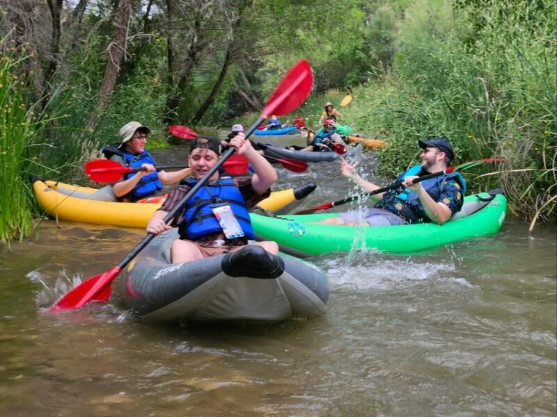 From Cottonwood: Guided Kayaking Tour on the Verde River - Who Should Consider This Tour?