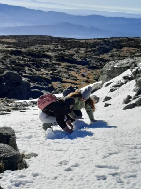 From Covilhã: Tour Serra da Estrela e Covão d'metade - Exploring the Serra da Estrela Tour in Detail