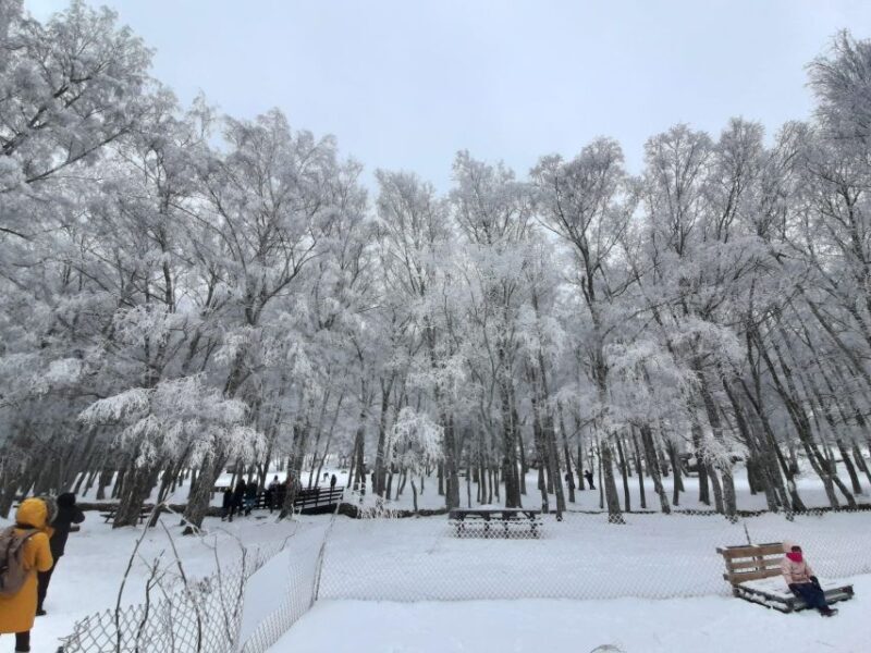 From Covilhã: Tour Serra da Estrela e Covão d'metade - Descending into the Glacier Valley