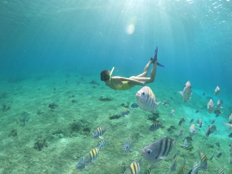 From Cozumel: 3 Reefs Boat Tour with Drinks and Snorkeling - Final Thoughts