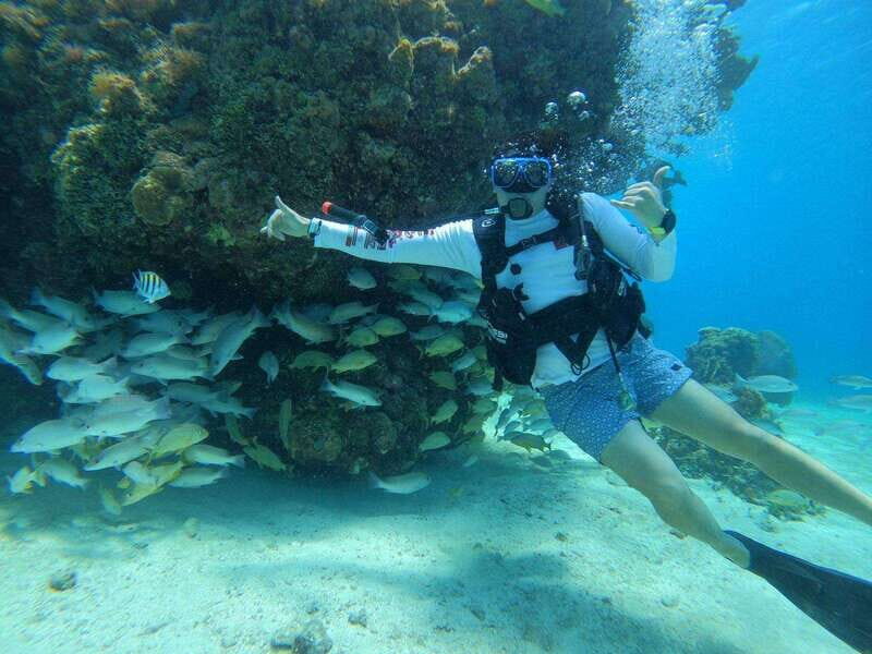 From Cozumel: Chankanaab Cozumel Scuba Diving - Who Should Consider This Tour?
