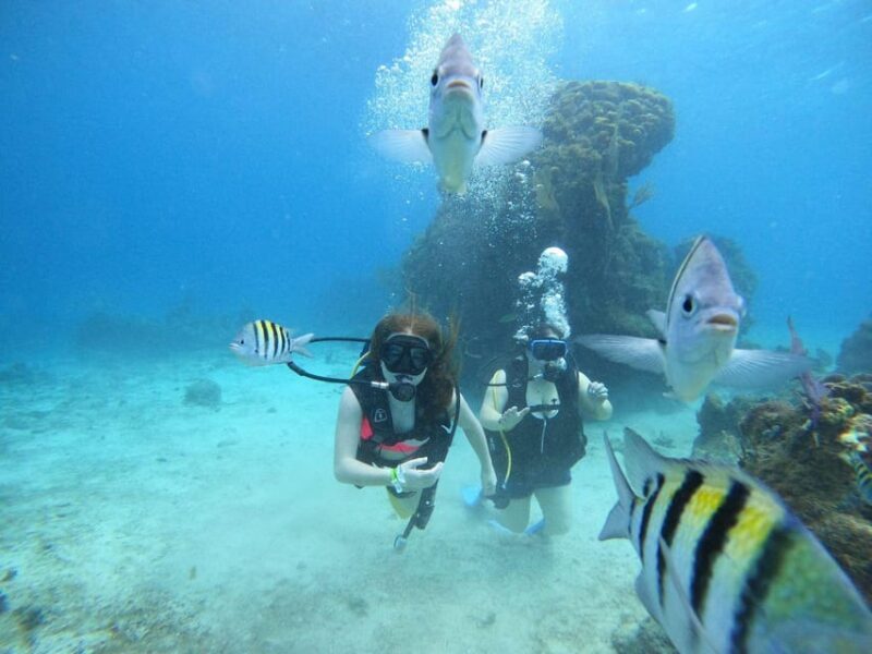 From Cozumel: Chankanaab Cozumel Scuba Diving - Final Thoughts
