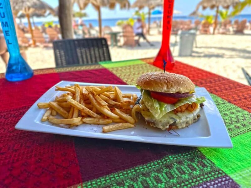 From Cozumel: Chankanaab Park Day pass with Open Bar & Lunch - Key Points