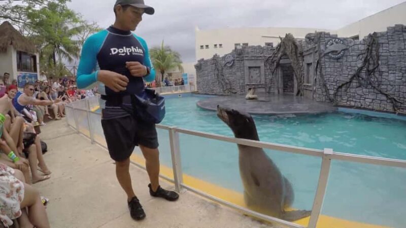 From Cozumel: Chankanaab Park Day pass with Open Bar & Lunch - Who Should Consider This Tour?