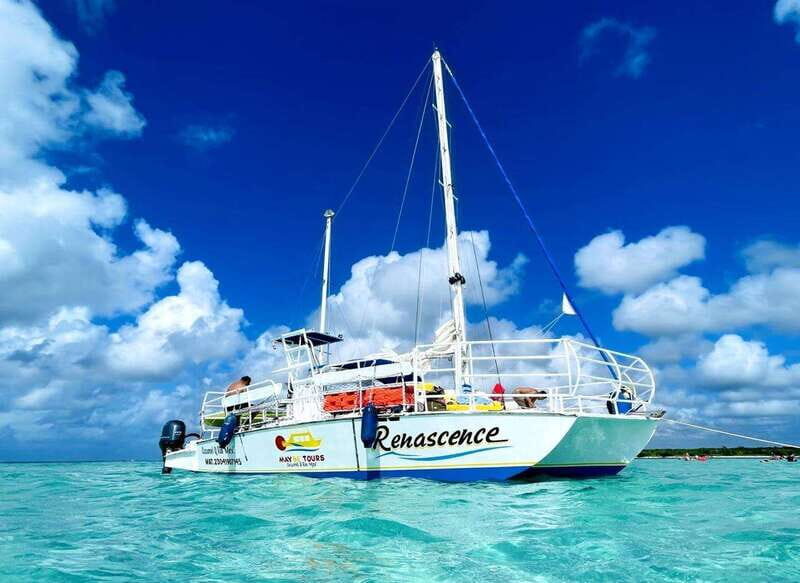 From Cozumel: El Cielo Beach by Catamaran Snorkeling Tour - Who Will Love This Tour?