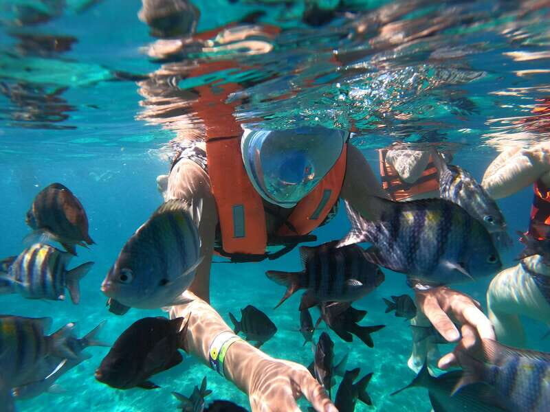 From Cozumel: Invisible Boat Snorkeling Tour - The Experience of the Transparent Boat