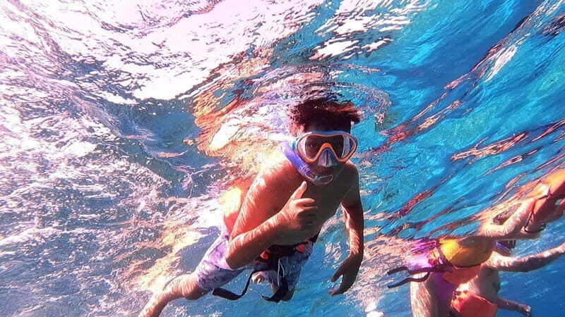 From Cozumel: Official Chankanaab Park Day Pass and Snorkel - Key Points