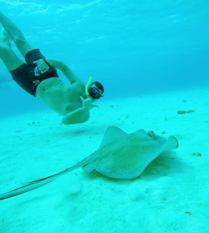 From Cozumel: Starfish, Stingrays and the Turtle Sanctuary - Playa El Cielito Beach