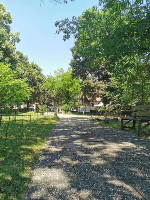 From Craiova: Bucharest Day Tour - The Historical Heart: Revolution Square