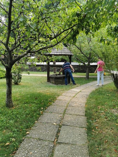 From Craiova: Bucharest Day Tour - Lunch and Wrap-up