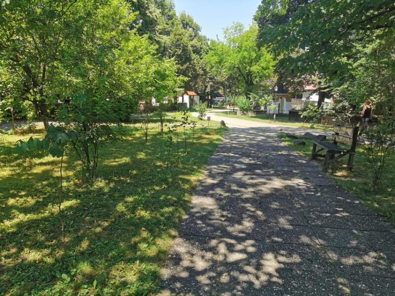 From Craiova: Bucharest Day Tour - Overall Value and Practical Tips