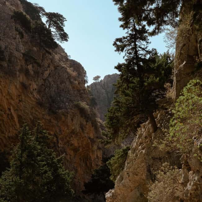 From Crete: Imbros Gorge Adventure Tour - What to Expect from the Imbros Gorge Adventure Tour