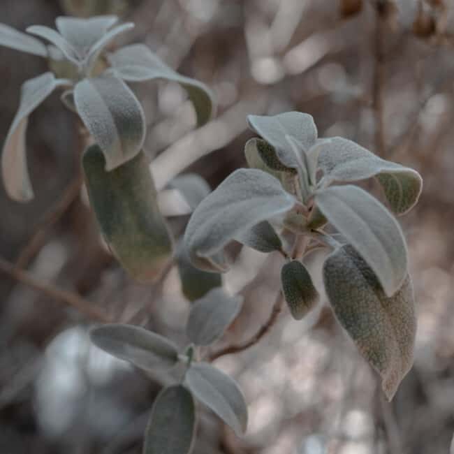 From Crete: Imbros Gorge Adventure Tour - Practical Details: What It Means for You