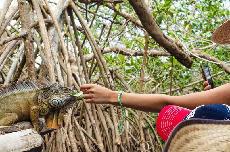 From Crucecita: Ventanilla, Zipolite, and Puerto Ángel Tour - From Crucecita: Ventanilla, Zipolite, and Puerto Ángel Tour – A Genuine Look