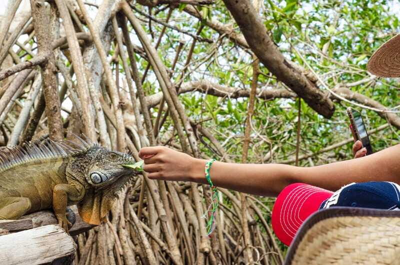 From Crucecita: Ventanilla, Zipolite, and Puerto Ángel Tour - Who Should Consider This Tour?