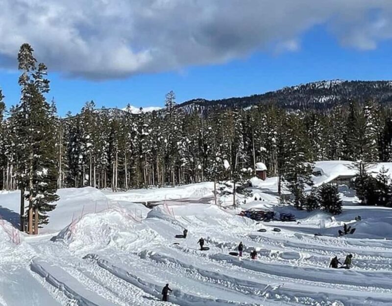 From Cupertino: Small Group Lake Tahoe Tour - What to Expect on the Lake Tahoe Small Group Tour