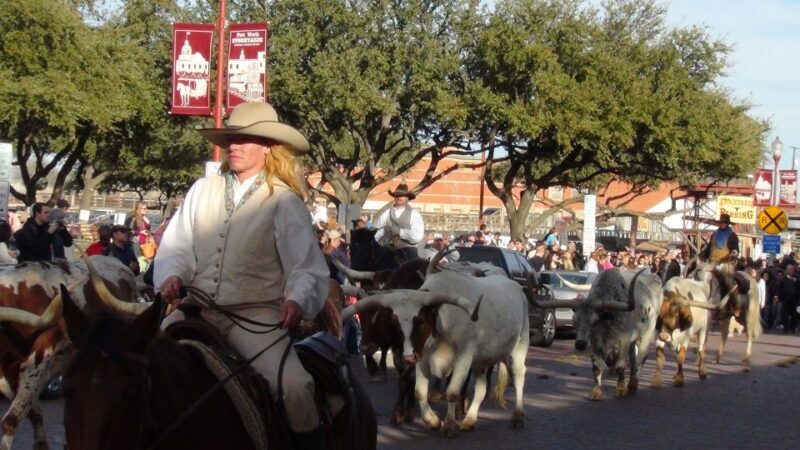 From Dallas: Fort Worth Guided Day Tour - From Dallas: Fort Worth Guided Day Tour – A Genuine Taste of the Old West