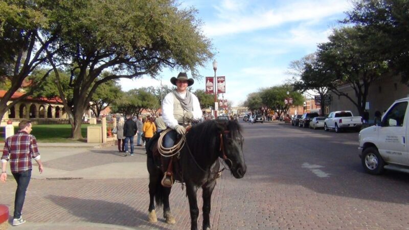From Dallas: Fort Worth Guided Day Tour - Who Should Consider This Tour?