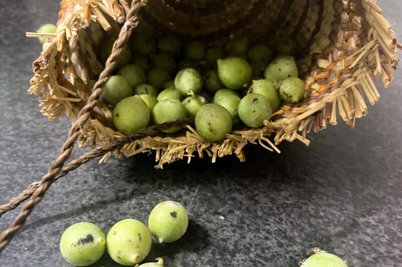 From Darwin: 2-Day Kakadu Cooinda & Yellow Water Cruise - The Sum Up: Is This Tour Right for You?