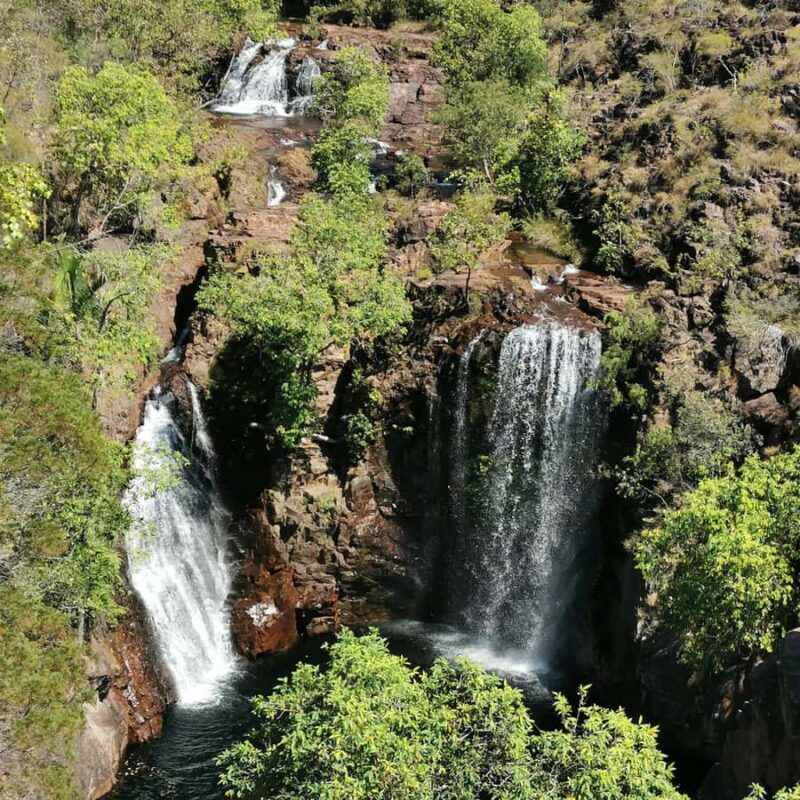 From Darwin: Litchfield National Park Small-Group Day Trip - Key Points