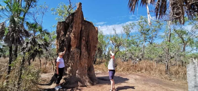 From Darwin: Litchfield National Park Small-Group Day Trip - The Guided Experience