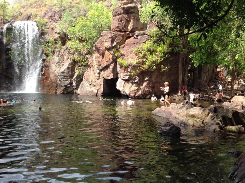 From Darwin: Litchfield Park Tour & Jumping Crocodile Cruise - Why We Think This Tour Works