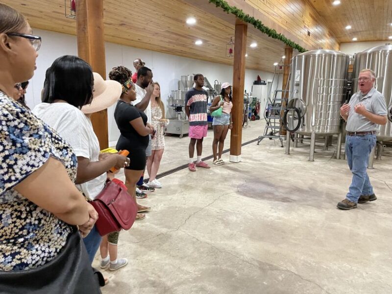 From DC: Premium Virginia Wine Country Tour with Tastings - An In-Depth Look at the Virginia Wine Country Tour