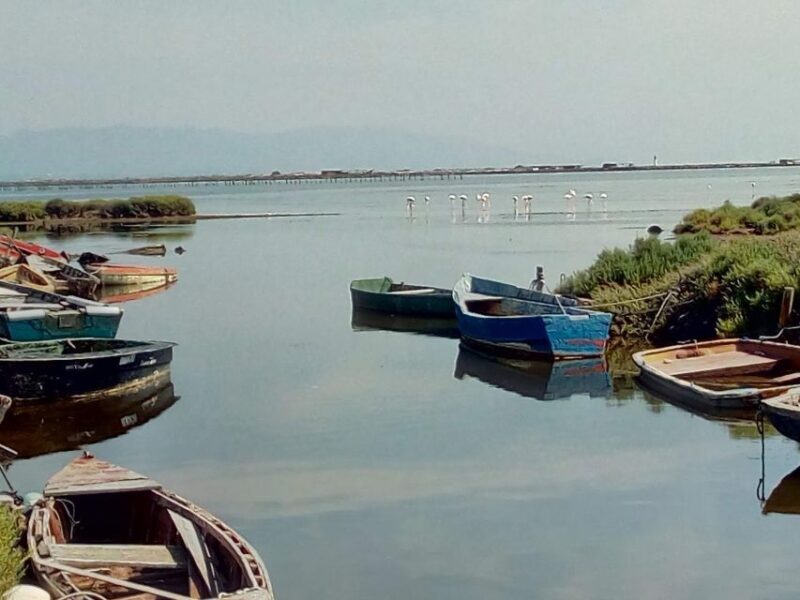 From Deltebre: Ebro Delta National Park Multi-Stop Day Trip - A Closer Look at the Ebro Delta Day Trip