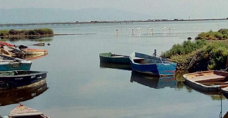 From Deltebre: Ebro Delta National Park Multi-Stop Day Trip - The Experience: Pros and Cons