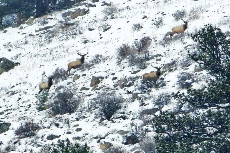 From Denver: Rocky Mountain Escape Tour - The Sum Up