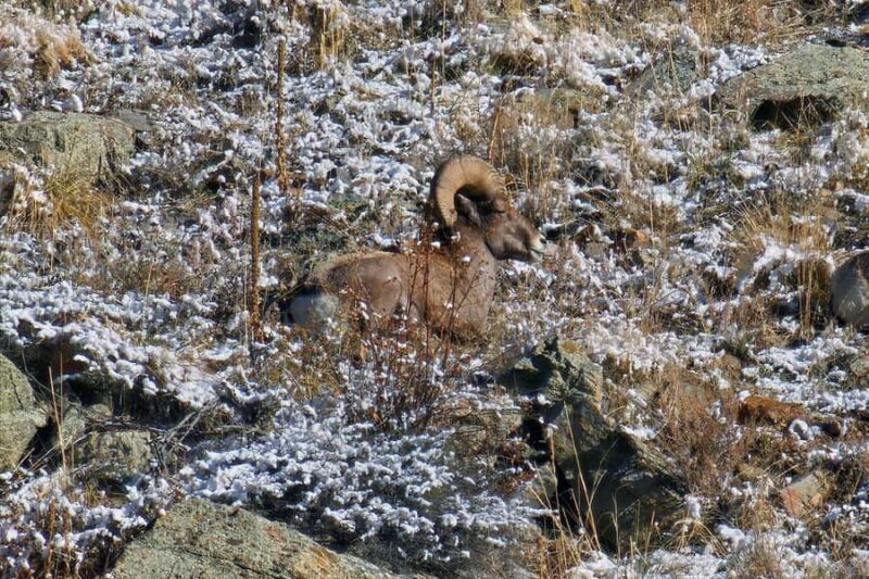 From Denver: Rocky Mountain Escape Tour - FAQ