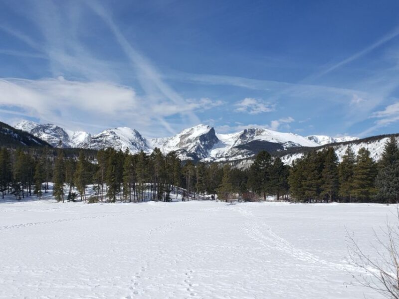 From Denver: Rocky Mountain National Park Winter/Spring Tour - A Deep Dive into What You Can Expect