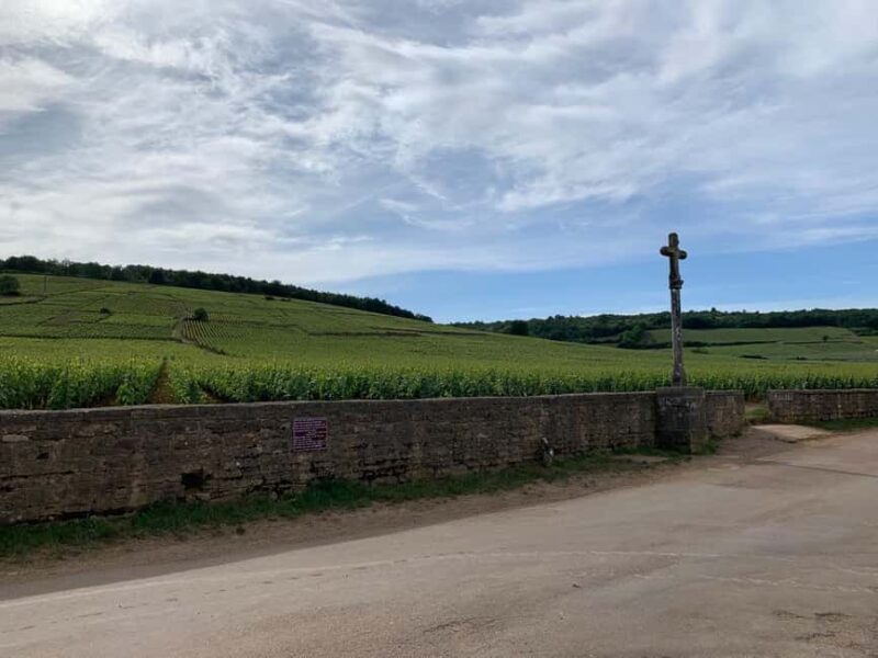 From: Dijon/Beaune: Burgundy Region Winery Tour with Lunch - Practical Details and Tips