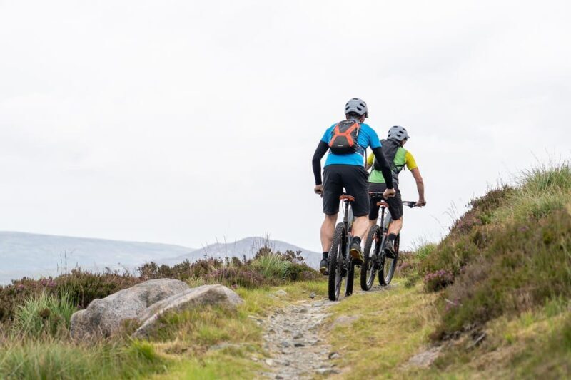 From Dublin: Electric Bike Experience - Who Will Love This Experience?