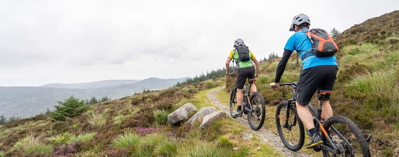 From Dublin: Mountain Bike Experience - Exploring the From Dublin: Mountain Bike Experience in County Down