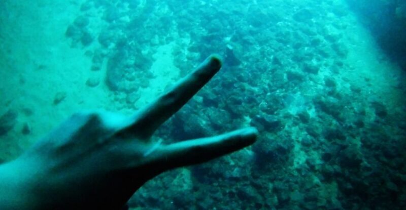 From Dubrovnik: Full-Day Private Boat Tour of Elafiti Island - Discovering Ipan and Sudurad