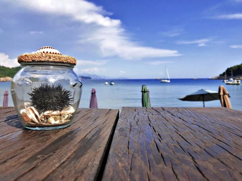 From Dubrovnik: Full-Day Private Boat Tour of Elafiti Island - Pricing and Value