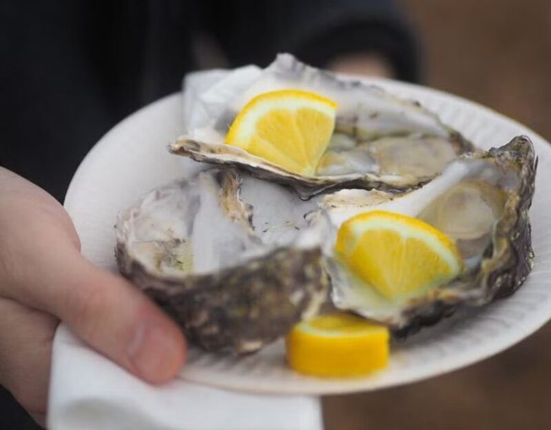 From Dubrovnik: Full-Day Tour to Ston & Oyster Tasting - Who Should Consider This Tour?