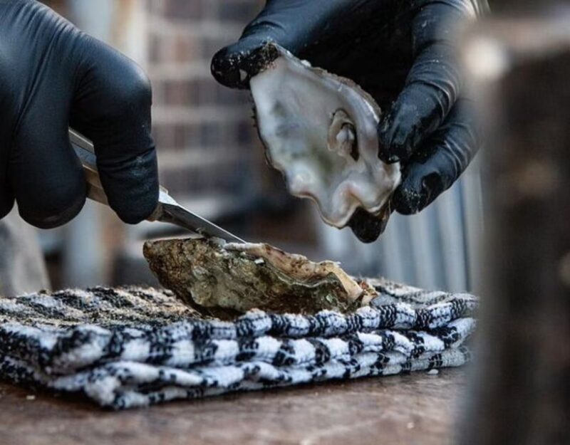 From Dubrovnik: Full-Day Tour to Ston & Oyster Tasting - Final Thoughts