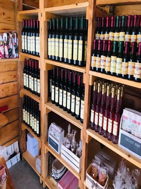 From Dubrovnik: Half-Day Wine Tasting and Cavtat City Tour - Key Points