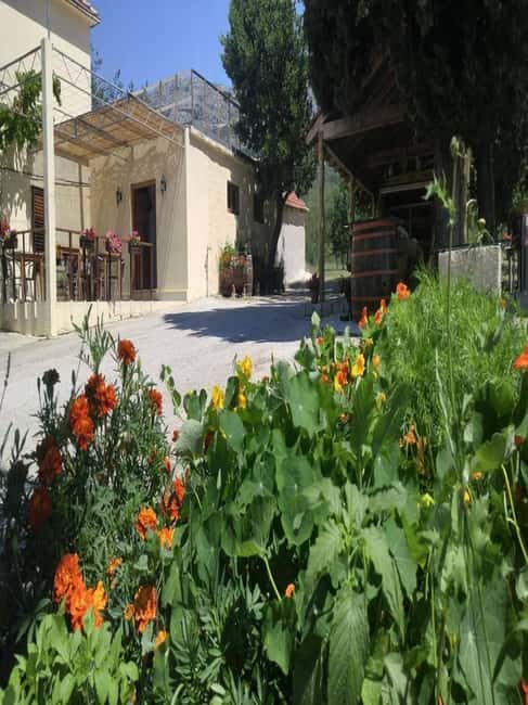 From Dubrovnik: Half-Day Wine Tasting and Cavtat City Tour - What to Expect from This Tour