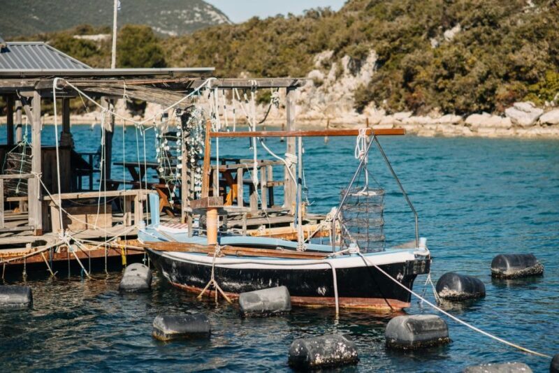 From Dubrovnik: Mali Ston Oyster Paradise Tour with Transfer - Who Should Consider This Tour?