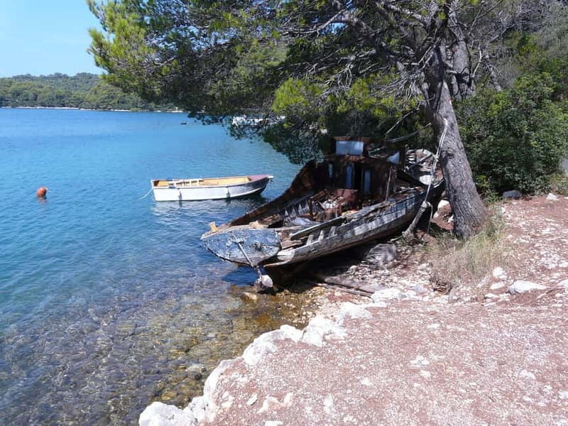 From Dubrovnik: Mljet Island Guided Catamaran Day Tour - What Is the Mljet Island Guided Catamaran Tour?