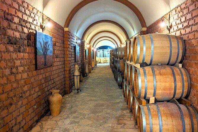 From Dubrovnik: Peljesac Wine Tasting Private Tour - Who Is This Tour Perfect For?