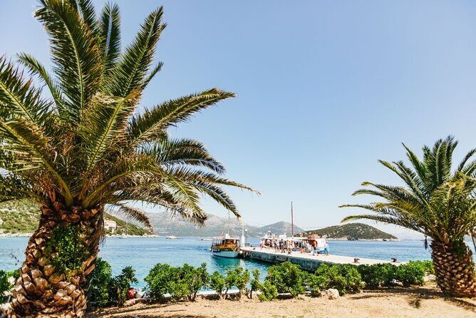 From Dubrovnik: Premium Three Island Cruise with lunch and drinks - Who Would Love This Tour?