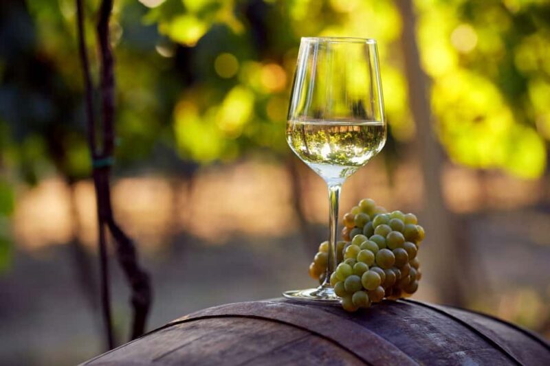 From Dubrovnik: Private Peljeac Wine Region and Ston Tour - FAQs