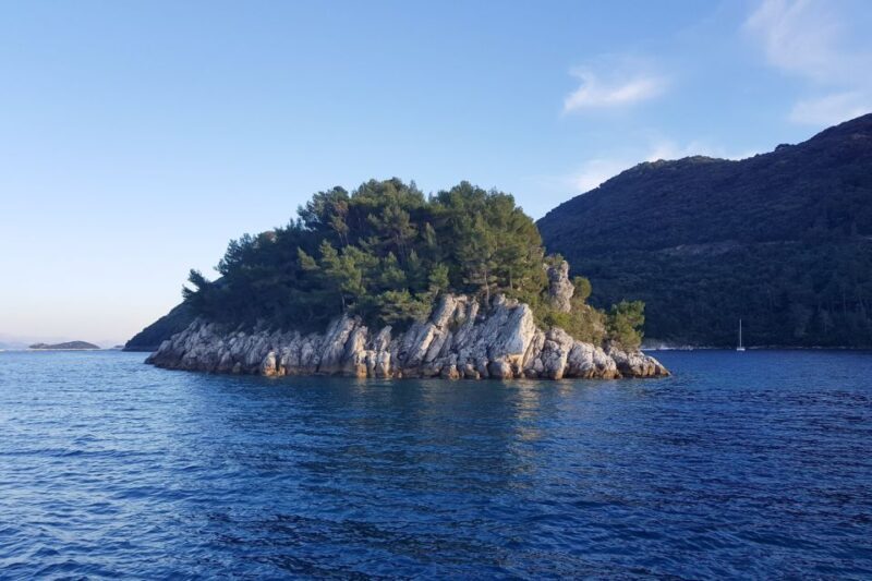 From Dubrovnik: Pvt Speedboat Cruise to Mljet&Sipanska Luka - Final Thoughts